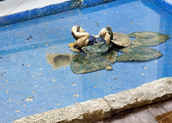 לינה וארוחת בוקר Feel At