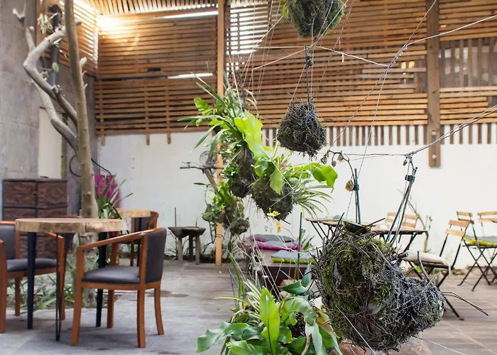 Feel At Bed & Breakfast