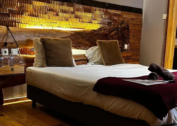 Bed & Breakfast Feel At Ovar